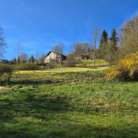 Des Privilèges 12p Sauna Privé&vue Vosges Gérardmer